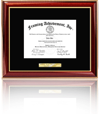 Corporate recognition award frame