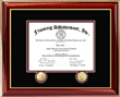 Double Medallion Securities License Frame