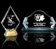 Click here to view Etched Glass Awards