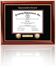 Single diploma frame