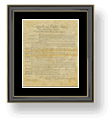 Bill of Rights frame