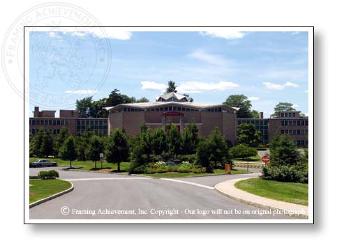 Diploma frame with Mercy College picture design #1