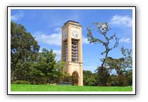 University Texas Tyler diploma frames