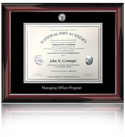 Single diploma frame