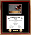 Certificate Frame Acupuncture