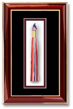 Single diploma frame