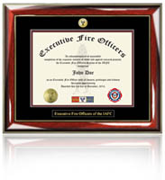 Single diploma frame