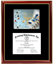 Pharmacy Degree Frame