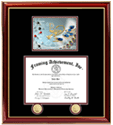 Pharmacy School Frame