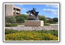University of Texas Permian Basin Diploma Frame Graduation Frame